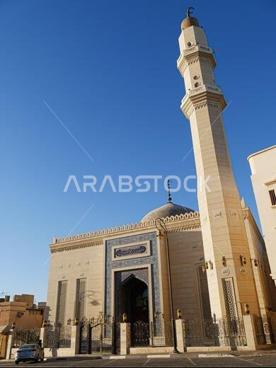 Saudi Arabia nature, architecture & heritage