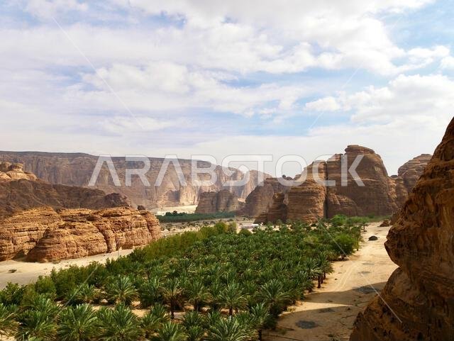 طبيعة المملكة العربية السعودية، وهندستها المعمارية، وتراثها