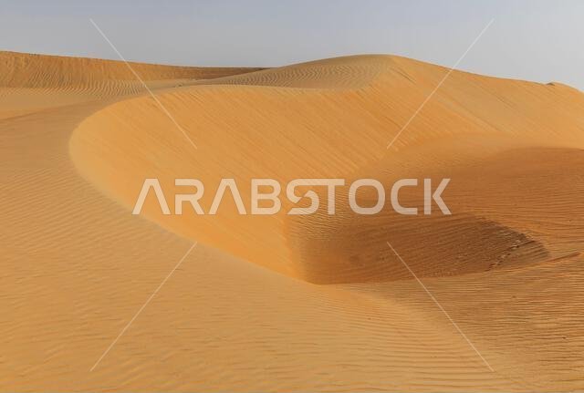 الكثبان الرملية والرمال الملونة في صحراء الربع الخالي الكثبان الرملية والرمال الملونة في صحراء الربع الخالي