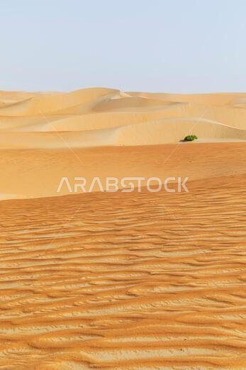 Dunes and colored sands of the Rub al-Khali desert