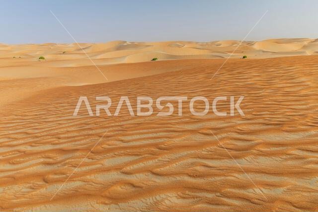 الكثبان الرملية والرمال الملونة في صحراء الربع الخالي