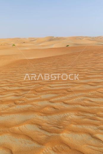 الكثبان الرملية والرمال الملونة في صحراء الربع الخالي