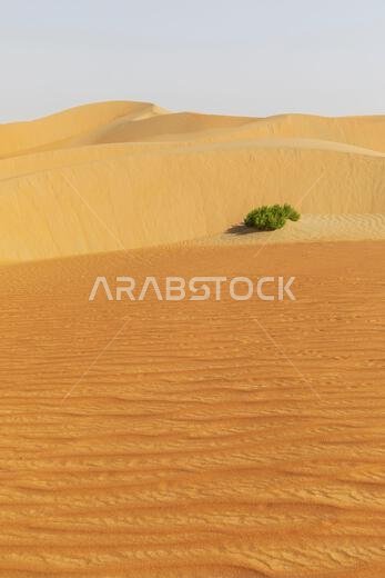 الكثبان الرملية والرمال الملونة في صحراء الربع الخالي