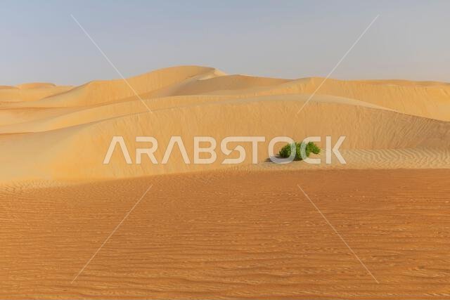 الكثبان الرملية والرمال الملونة في صحراء الربع الخالي