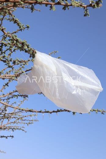 يوم الأرض