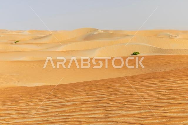 الكثبان الرملية والرمال الملونة في صحراء الربع الخالي