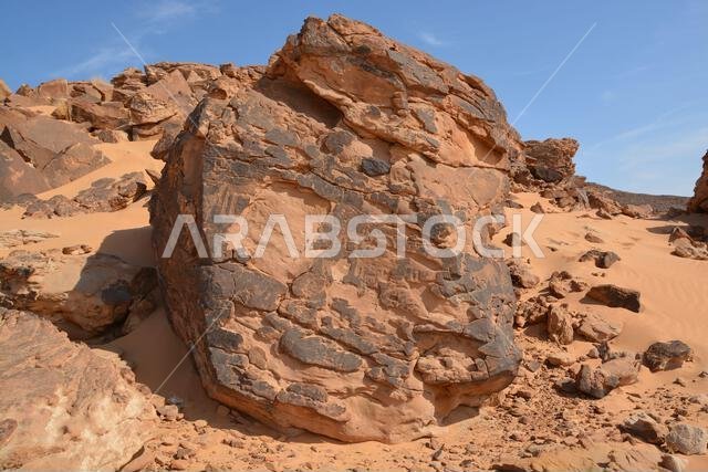 Ancient Rock Art from Saudi Arabia