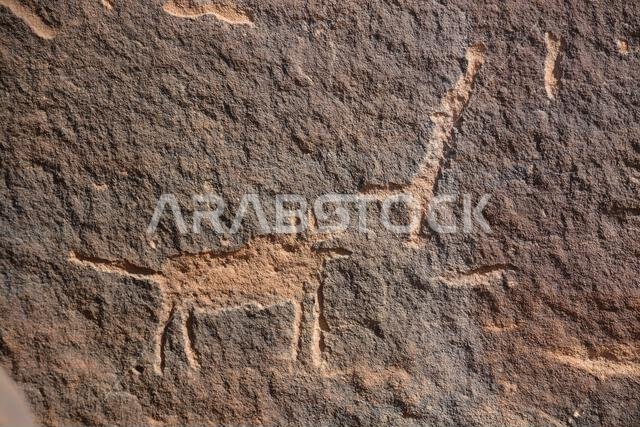 Ancient rock art from Saudi Arabia