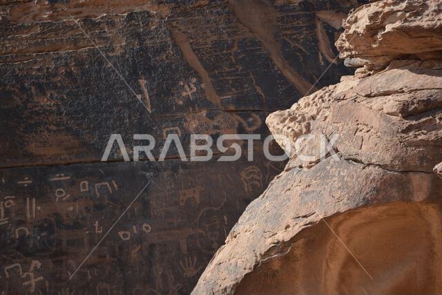 Ancient Rock Art from Saudi Arabia