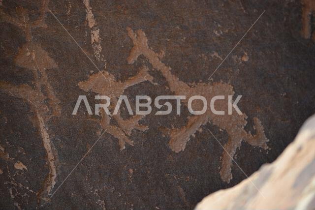 Ancient rock art from Saudi Arabia