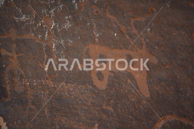 Ancient rock art from Saudi Arabia