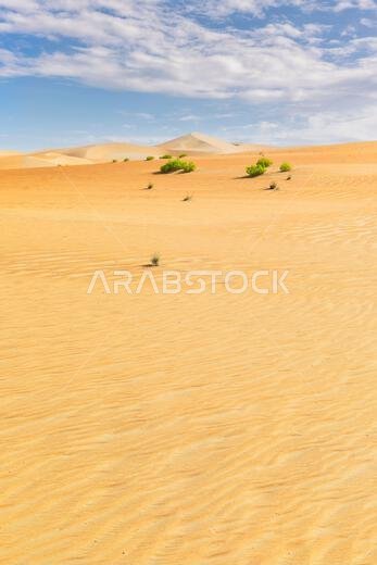 الكثبان الرملية والرمال الملونة في صحراء الربع الخالي