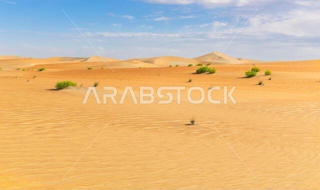 Dunes and colored sands of the Rub al-Khali desert