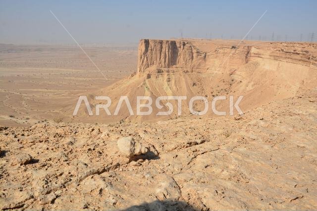 صدفة بحرية من جبل طويق في المملكة العربية السعودية