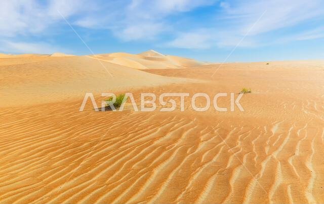 Dunes and colored sands of the Rub al-Khali desert