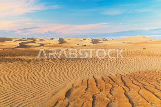 الكثبان الرملية والرمال الملونة في صحراء الربع الخالي
