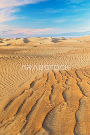 الكثبان الرملية والرمال الملونة في صحراء الربع الخالي
