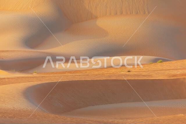 الكثبان الرملية والرمال الملونة في صحراء الربع الخالي الكثبان الرملية والرمال الملونة في صحراء الربع الخالي