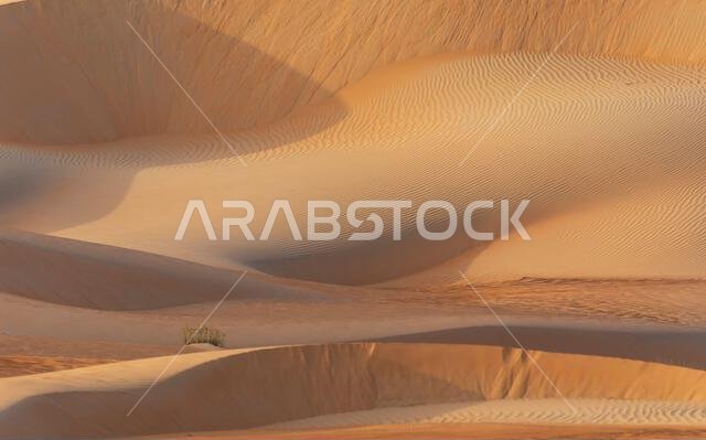 Dunes and colored sands of the Rub al-Khali desert