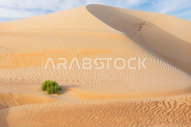 الكثبان الرملية والرمال الملونة في صحراء الربع الخالي