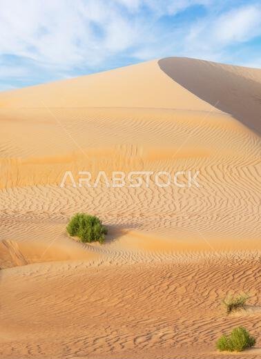 Dunes and colored sands of the Rub al-Khali desert