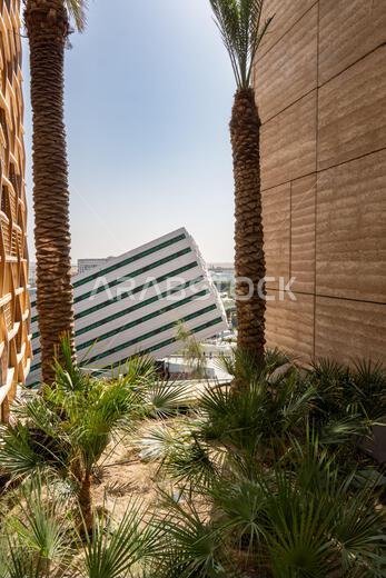 "2.27.2022 - دبي، الإمارات العربية المتحدة - جناح المملكة العربية السعودية في معرض إكسبو 2020، منظر من خلال أشجار النخيل والمباني." "2.27.2022 - دبي، الإمارات العربية المتحدة - جناح المملكة العربية السعودية في معرض إكسبو 2020، منظر من خلال أشجار النخيل والمباني."