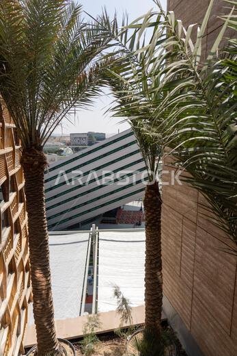 "2.27.2022 - دبي، الإمارات العربية المتحدة - جناح المملكة العربية السعودية في معرض إكسبو 2020، منظر من خلال أشجار النخيل والمباني."