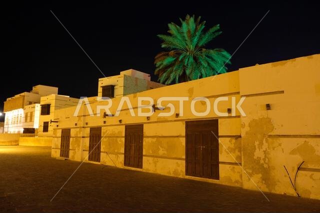 A palm sitting behind stores at the night market (in Arabic suq ellil) in Yanbu Saudi Arabia