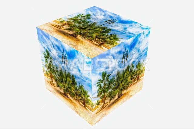 مكعب صور الحديقة