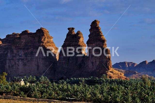 Saudi Arabia, Al Madinah Region, AlUla or Al Ula, landscape around the city of AlUla, oasis