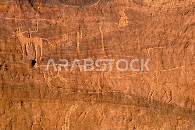 Saudi Arabia, Al Madinah Region, AlUla or Al Ula, Sharaan Nature Reserve, rock art