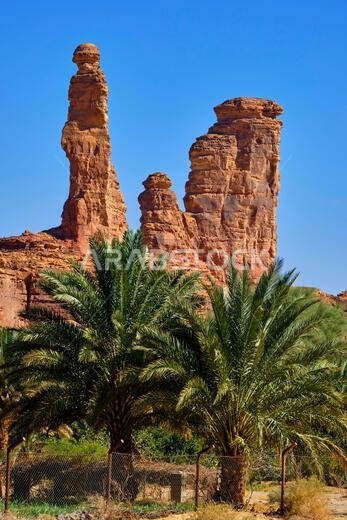 المملكة العربية السعودية، منطقة المدينة المنورة، العلا أو العلا، منظر طبيعي حول مدينة العلا، واحة