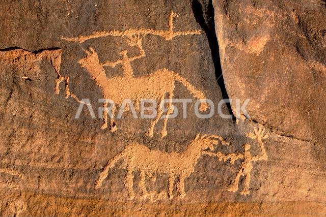 Saudi Arabia, Al Madinah Region, AlUla or Al Ula, Sharaan Nature Reserve, rock art