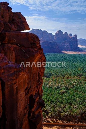 Saudi Arabia, Al Madinah Region, AlUla or Al Ula, landscape around the city of AlUla, oasis