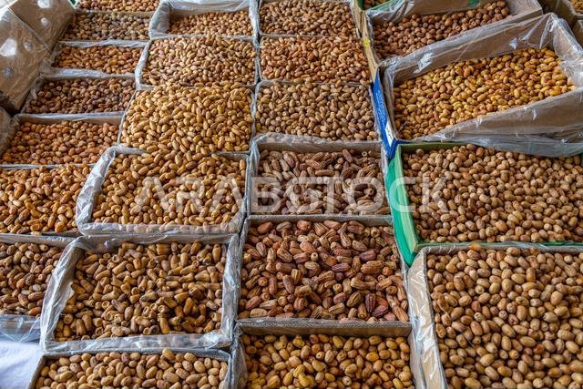 تمور محلية للبيع، نجران، المملكة العربية السعودية، الشرق الأوسط