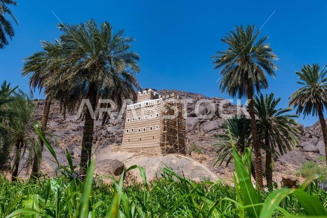 Old fortified house made out of mud, Najran, Kingdom of Saudi Arabia, Middle East