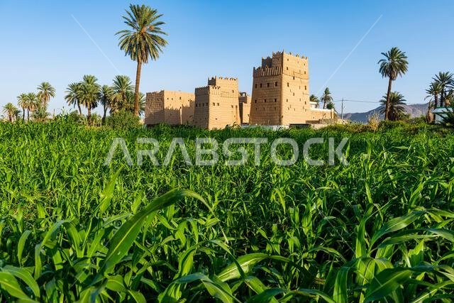 أبراج طينية مبنية على الطراز التقليدي تُستخدم كمساكن، نجران، المملكة العربية السعودية، الشرق الأوسط أبراج طينية مبنية على الطراز التقليدي تُستخدم كمساكن، نجران، المملكة العربية السعودية، الشرق الأوسط