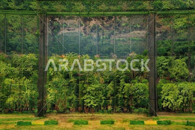Plant store - landscape foliage - various