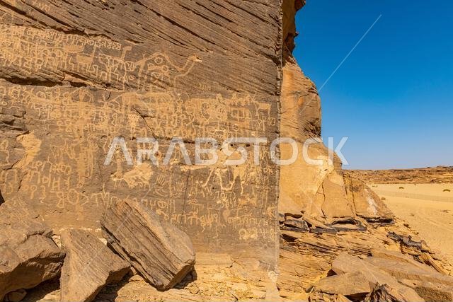 Rock carvings, Bir Hima Rock Petroglyphs and Inscriptions, UNESCO World Heritage Site, Najran, Kingdom of Saudi Arabia, Middle East
