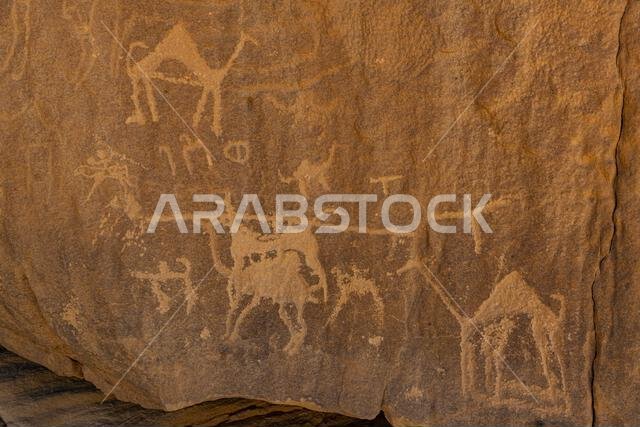 Rock carvings, Bir Hima Rock Petroglyphs and Inscriptions, UNESCO World Heritage Site, Najran, Kingdom of Saudi Arabia, Middle East