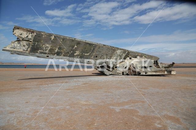 plane desert the antique kingdom of saudi arabia