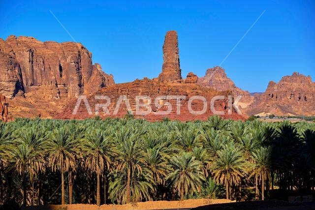 Saudi Arabia, Al Madinah Region, AlUla or Al Ula, landscape around the city of AlUla, oasis