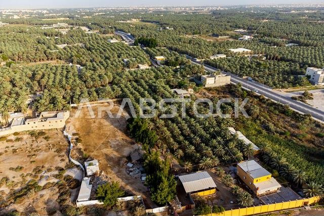 Aerial of the Al Ahsa (Al Hasa) Oasis, UNESCO World Heritage Site, Hofuf, Kingdom of Saudi Arabia, Middle East