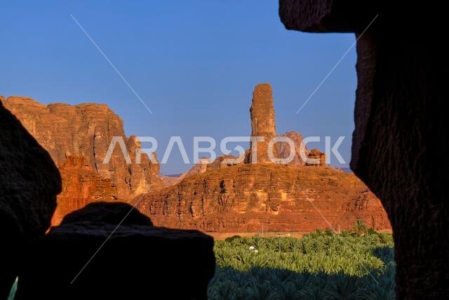 Saudi Arabia, Al Madinah Region, AlUla or Al Ula, landscape around the city of AlUla, oasis