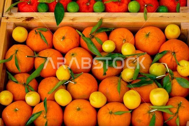 Saudi Arabia, Al Madinah Region, AlUla or Al Ula, local market, orange