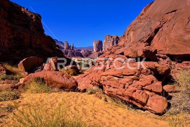 Saudi Arabia, Al Madinah Region, AlUla or Al Ula, landscape around the city of AlUla, oasis