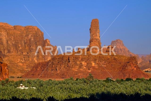 المملكة العربية السعودية، منطقة المدينة المنورة، العلا أو العلا، منظر طبيعي حول مدينة العلا، واحة