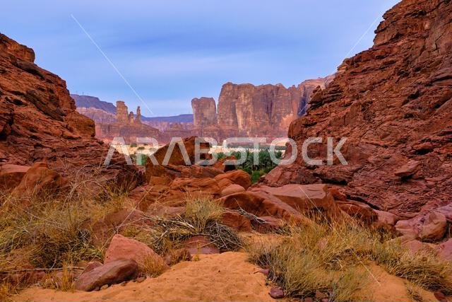 المملكة العربية السعودية، منطقة المدينة المنورة، العلا أو العلا، منظر طبيعي حول مدينة العلا، واحة