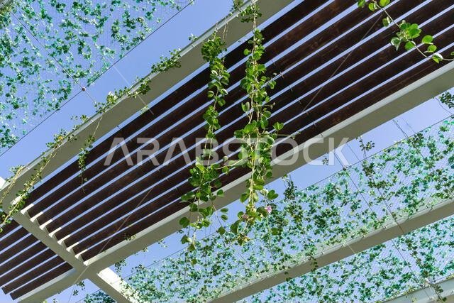 معرض إكسبو 2020 دبي