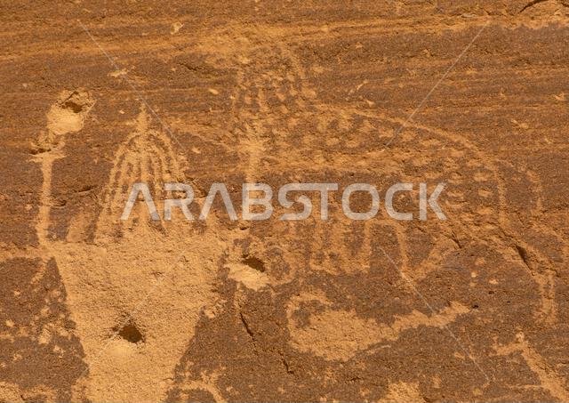 Petroglyphs on a rock depicting Aliya the goddess of fertility, Najran Province, Thar, Saudi Arabia